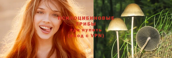 мескалин Горнозаводск